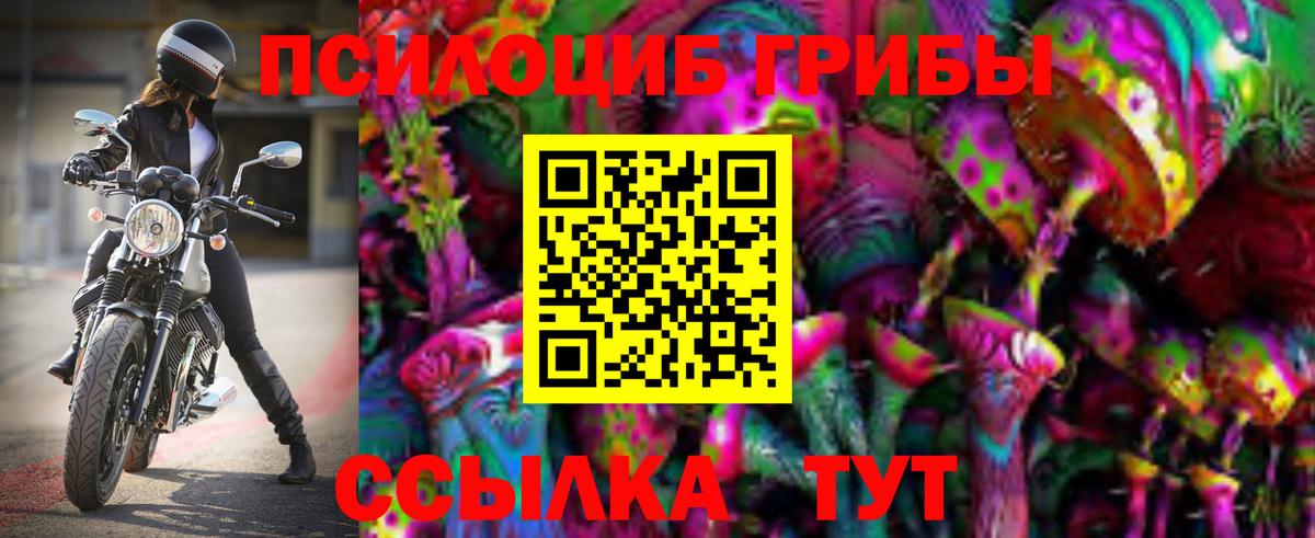 Галлюциногенные грибы Cubensis Азов